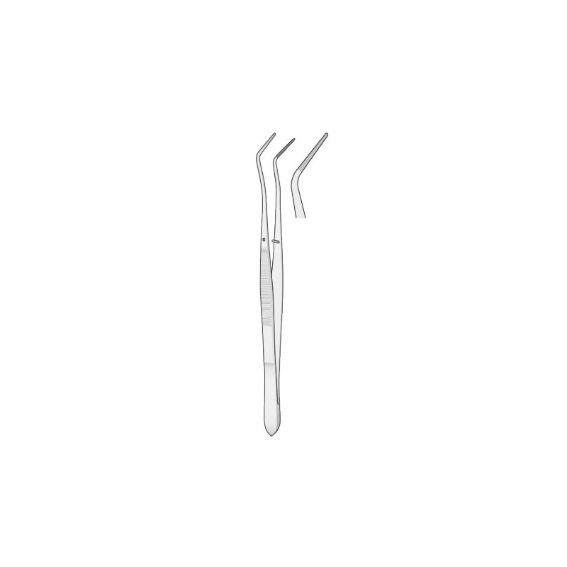 PINZA MERIAN 15cm.-0