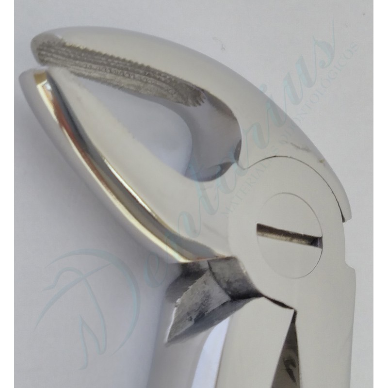 FORCEP PREMOLARES INFERIORES-2
