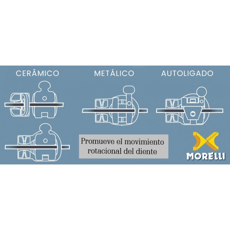 Elástico para Rotación Universal - Transparente-0