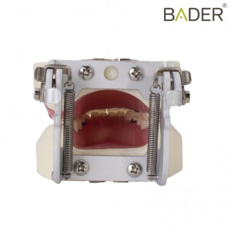 Molde silicona para modelo desdentado BADER®️ DENTAL - Bader