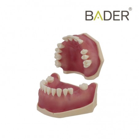 Molde silicona para modelo desdentado BADER®️ DENTAL - Bader