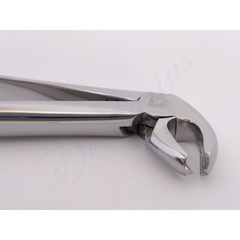 FORCEP PREMOLARES INFERIORES-1