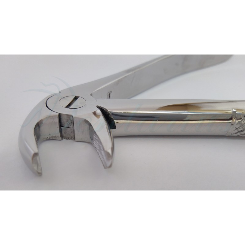 FORCEP PREMOLARES INFERIORES-2