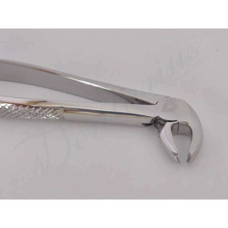 FORCEP PREMOLARES INFERIORES-3
