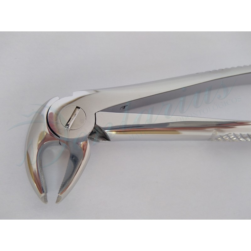 FORCEP PREMOLARES INFERIORES-5