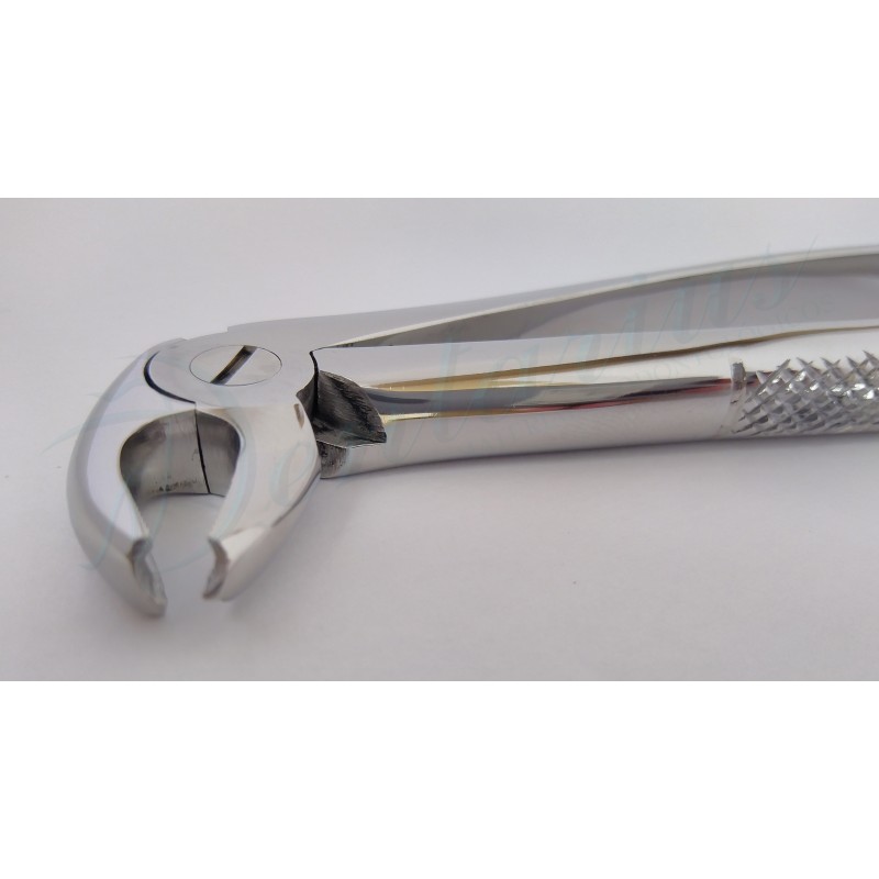 FORCEP PREMOLARES INFERIORES-6