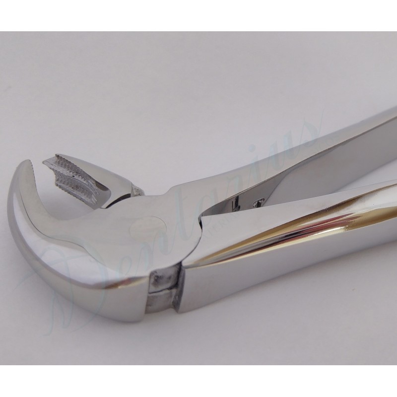 FORCEP PREMOLARES INFERIORES-7