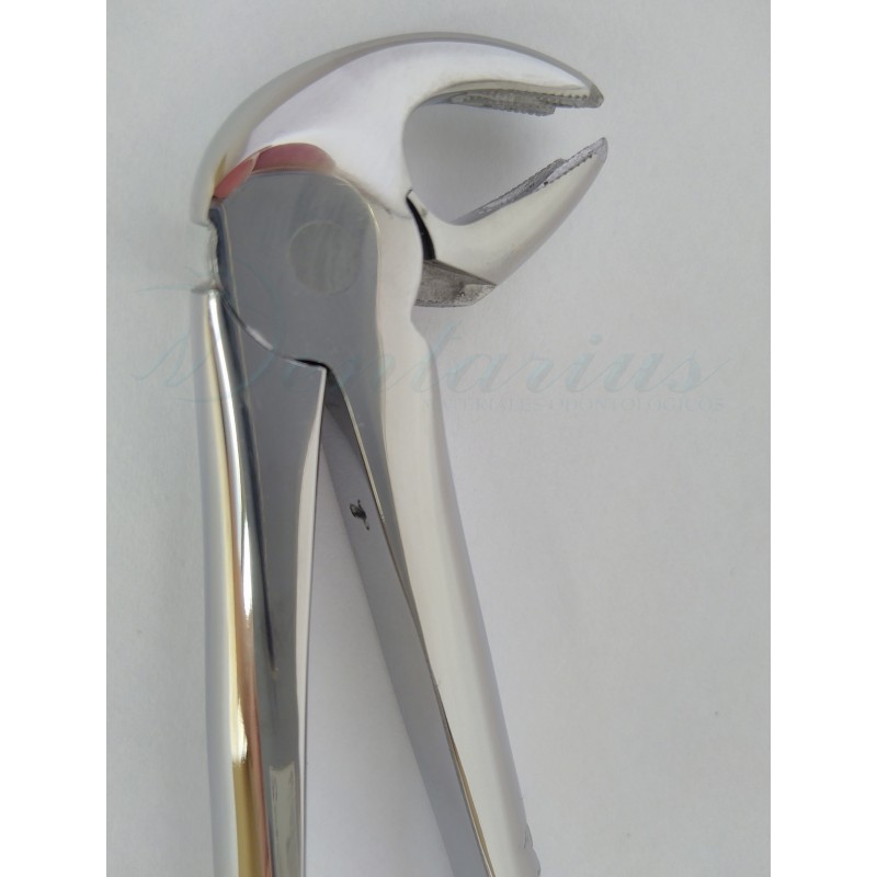 FORCEP PREMOLARES INFERIORES-8