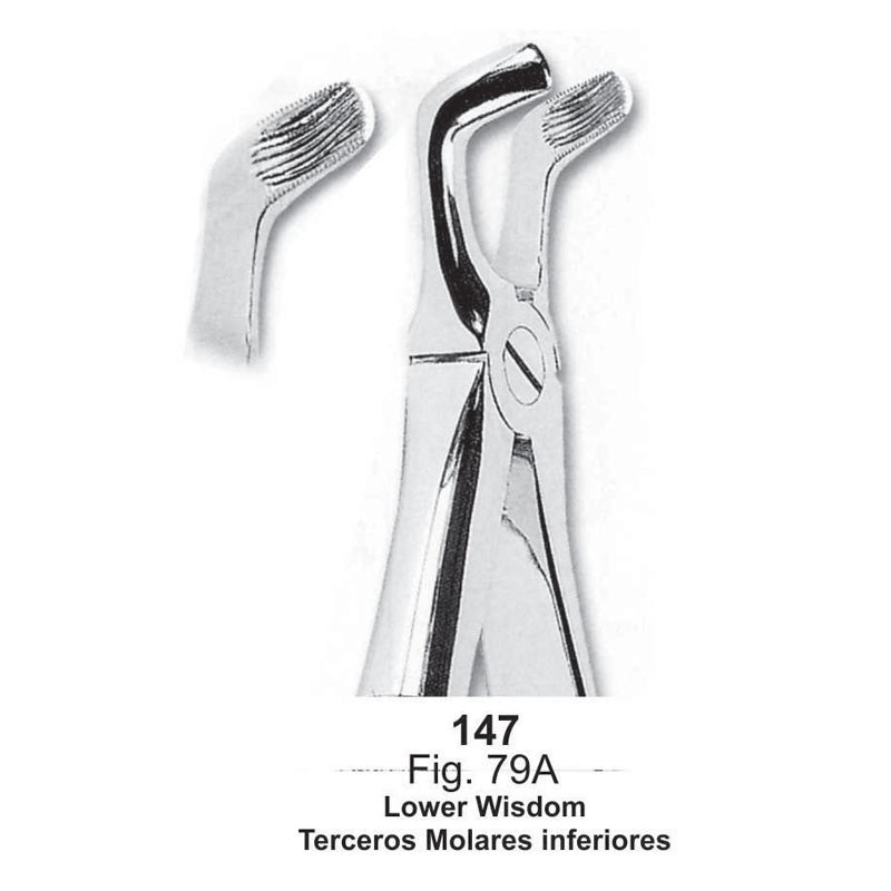 FORCEP TERCEROS MOLARES INFERIORES (147)