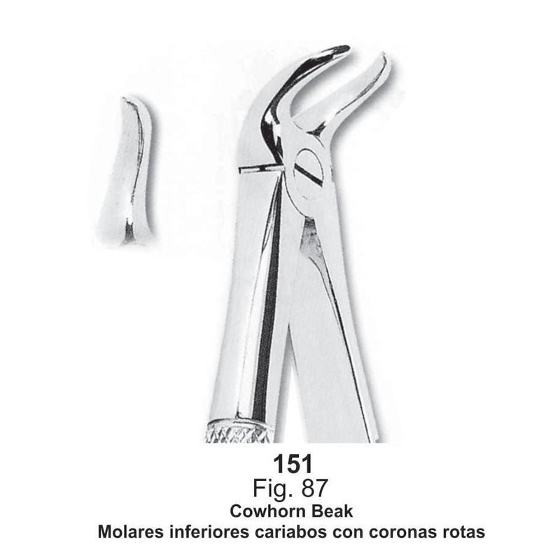 FORCEP MOLARES INFERIORES CARIADOS CORONAS ROTAS (151)