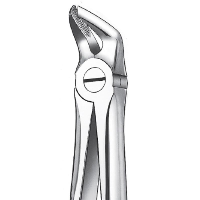 FORCEP PREMOLARES INFERIORES (106)