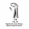 FORCEP MOLARES INFERIORES IZQUIERDOS (fig.24)
