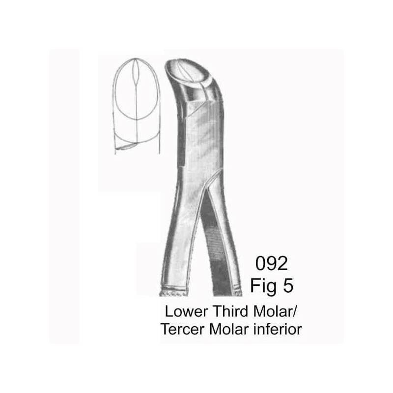 FORCEP TERCEROS MOLARES INFERIORES(fig.05)