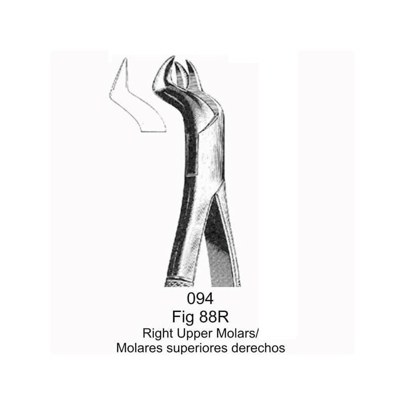 FORCEP MOLARES SUPERIORES DERECHOS (fig.88R)