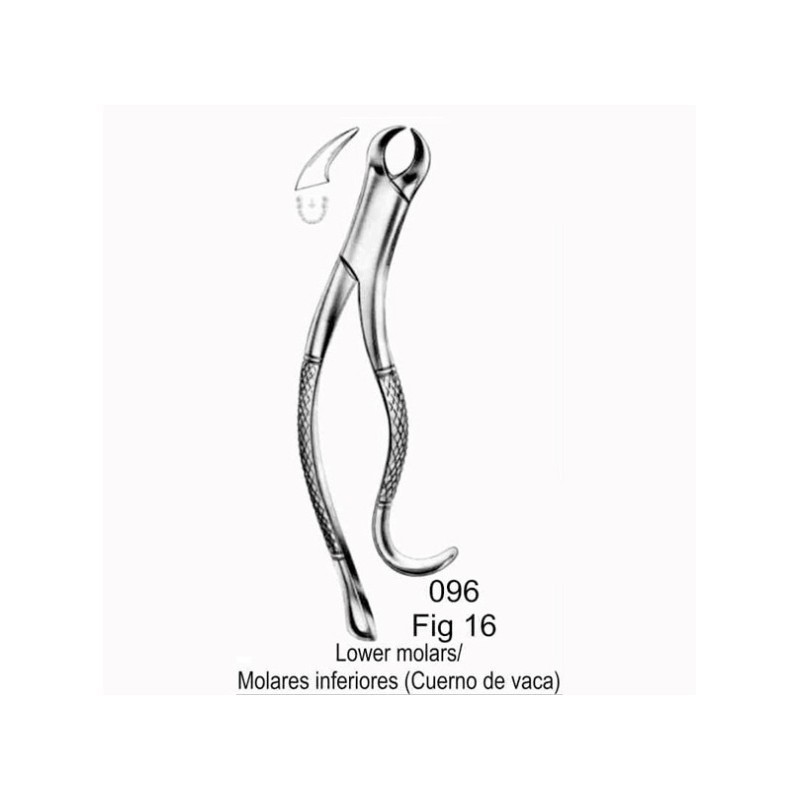 FORCEP MOLARES INFERIORES (fig.16)