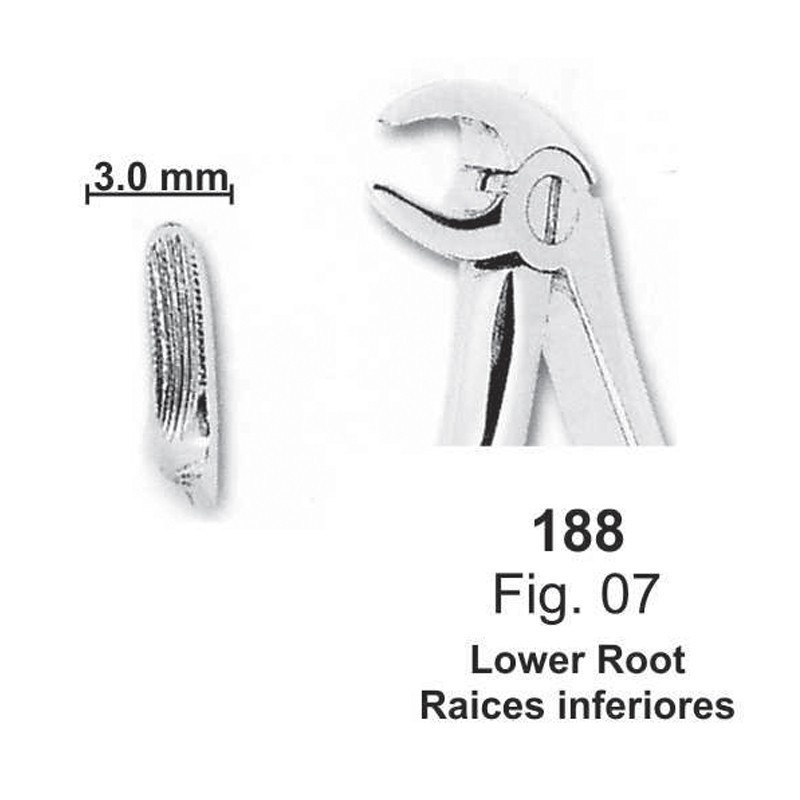 FORCEP RAÍCES INFERIORES NIÑOS (fig.07)